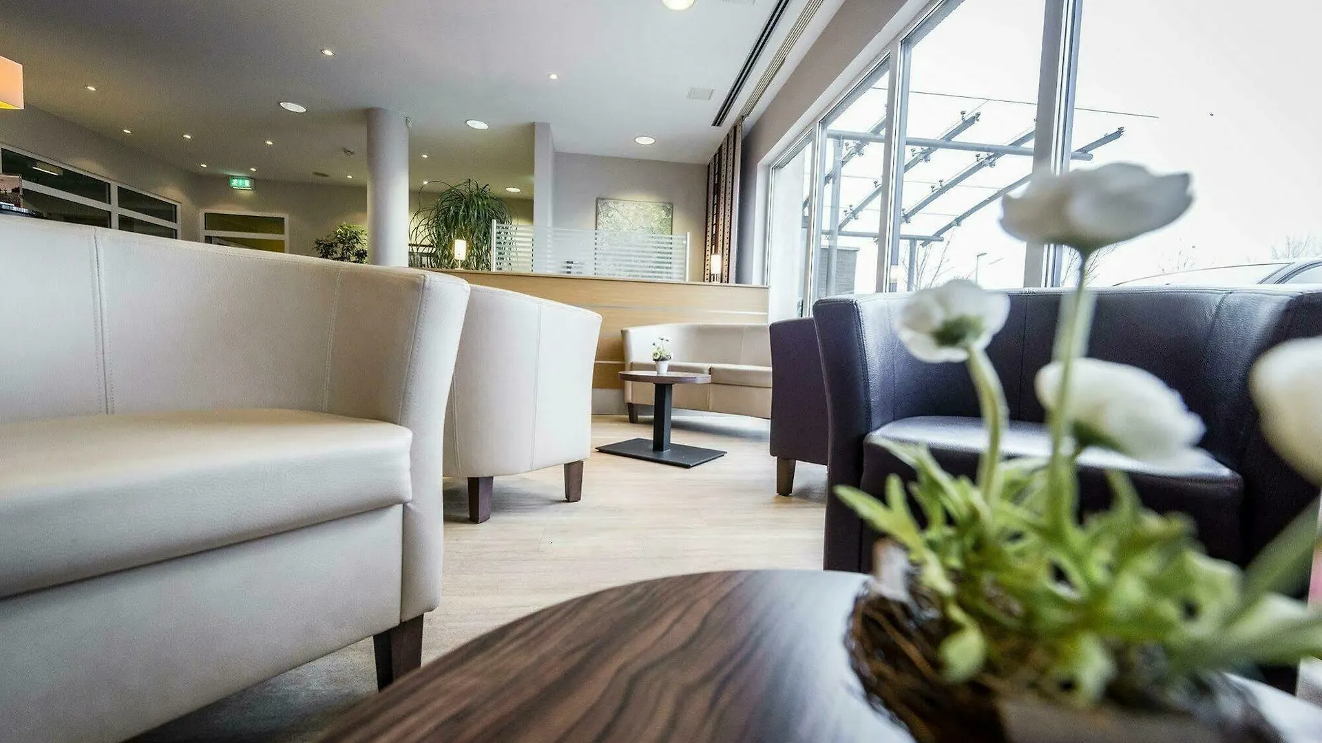 Hotel Holiday Inn Express Cologne Muelheim By Ihg